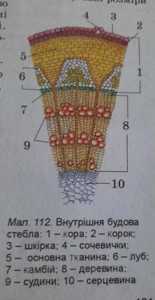 ПЕРЕСОВАТЬ ЭТО В ОБЫЧНУЮ ТЕТРАДЬ И ПОЗНАЧЕТ ЧТО ГДЕ НАХОДИТЬСЯ ВСЯ ИНФОРМАЦИЯ НА ФОТО​