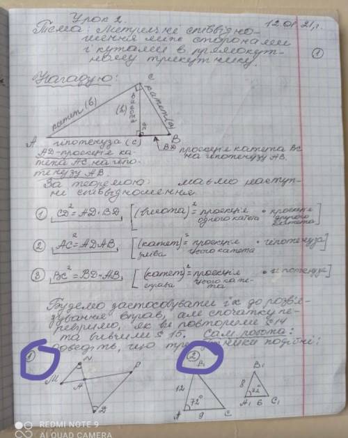 я обвела то что надо сделать сегодня сдать учительнице нужно