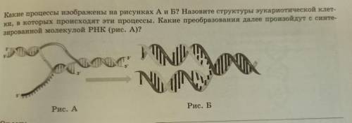 нужно Буду блогодарна