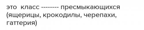 Рассмотрите задние конечности птиц. Большинство костей стопы срастаются и образуют цевку, покрытую р