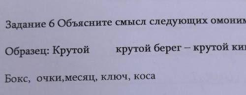 Задание 6 Объясните смысл следующих омонимов. Образец:Крутойкрутой берег - крутой кипятокБокс, очки,