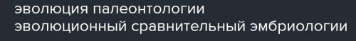 Какие новые научные направления появишись в естествознании во второй половине 19 в.