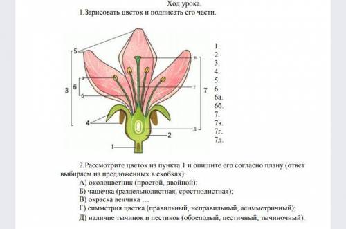 Решите второе задание дай 30