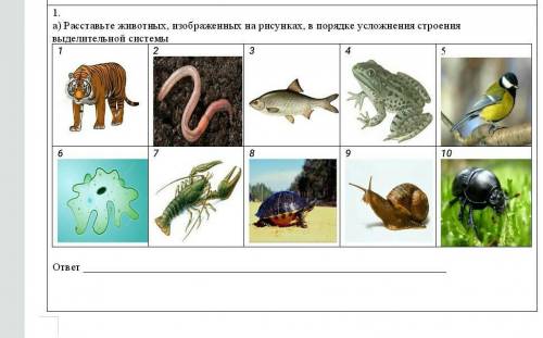 Расставьте животных, изображенных на рисунках, в порядке усложнения строения выделительной системы ​