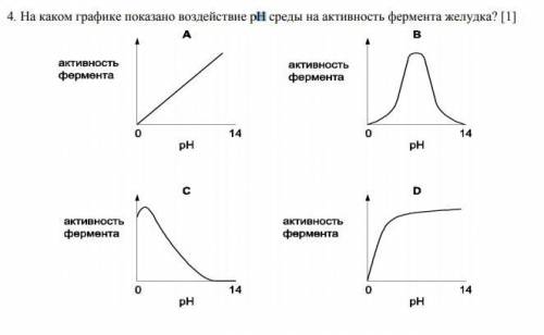 1) На каком графике показано воздействие pH среды на активность фермента желудка? 2) Что из нижепере