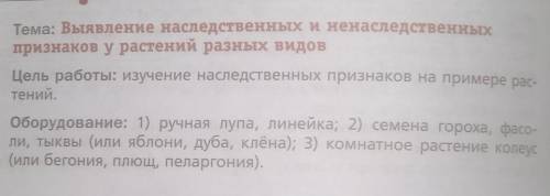 1) Распределите семена по видам 2)Изучите внешний вид семян каждого вида. Определите общие признаки