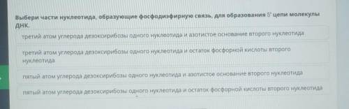 Выбери части нуклеотида, образующие фосфодиэфирную связь, для образования 5' цепи молекулы ДНК.трети