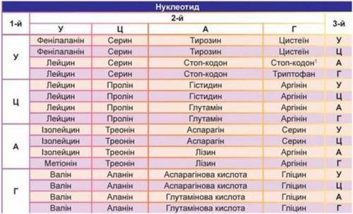 1) Послідовність гена наступна ТАЦ ААГ ЦГТ АТГ ТТА АЦА ТАЦ АЦТ Визначте послідовність амінокислот в