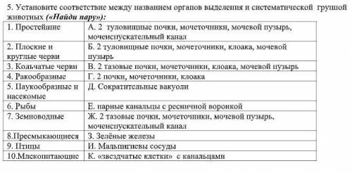 5. Установите соответствие между названием органов выделения и систематической группой животных