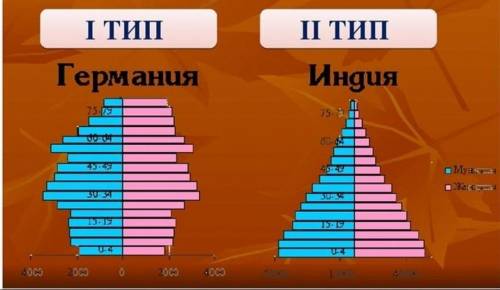 Сравнить возрастно-половые пирамиды двух стран​