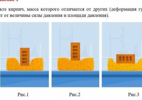 отметьте кирпич масса которого отличается от других деформация губки зависит от величины силы давлен