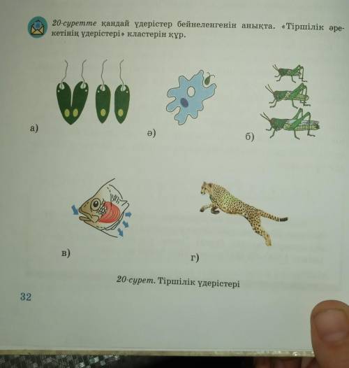 20-суретте қандай үдерістер бейнеленгенін анықта.Тіршілік әрекетінің үдерістері кластерін құр бере