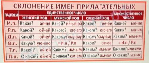 Прочитать текст, составить два вопроса к тексту, выписать прилагательные и определить их падеж Душа