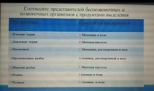 Соотнесите представителей беспозвоночных и позвоночных организмов с продуктами выделения