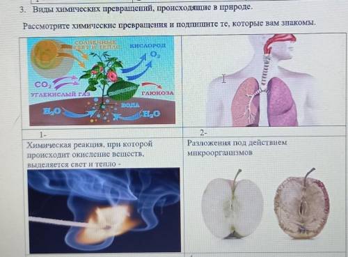 5. Виды химических превращений, происходящие в природе. Рассмотрите химические превращения и подните