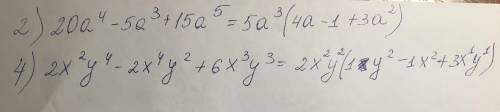 Вынесите общий множитель за скобки 2)20а⁴-5а³+15a⁵ 4)2x²y⁴-2x⁴y²+6x³y³​