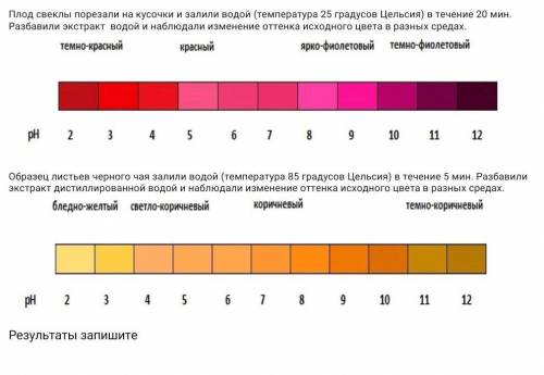 Плод свеклы порезали на кусочки и залили водой (температура 25 градусов Цельсия) в течение 20 мин. Р