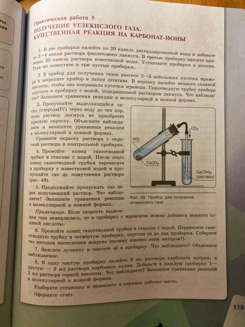 Практическая работа №5. Получение углекислого газа. Качественная реакция на карбонат-ионы.