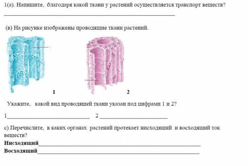 Все задания в скриншоте