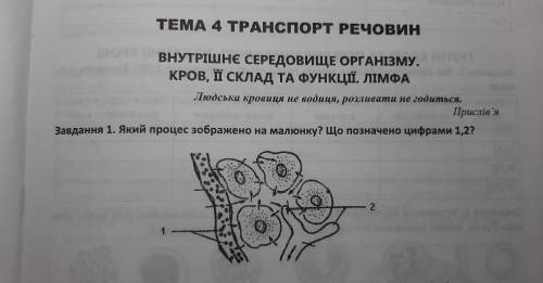 Який процес зображено на малюнку? Що позначено цифрами 1,2? (Робочий зошит Биология 8 класс Г.В.Ярем