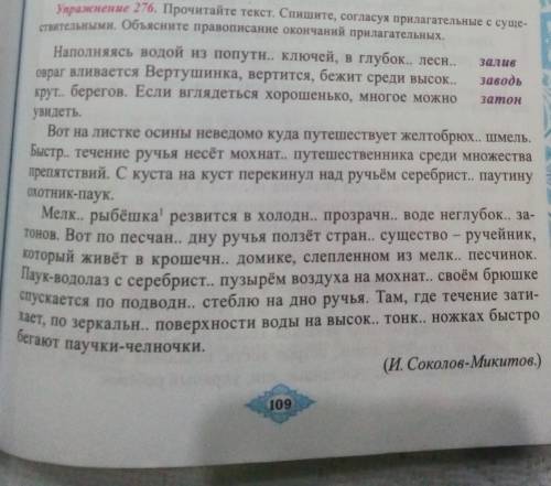 Прочитайте текст спишите согласуя прилагательные с существительными Объясните правописание окончаний