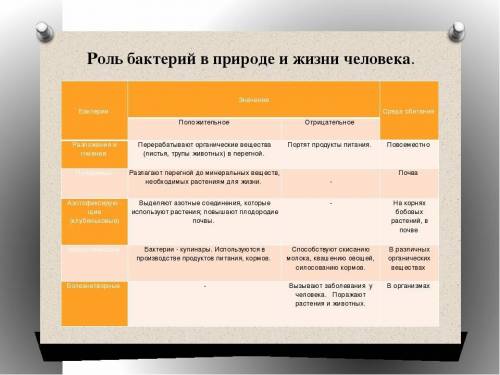 биология тема: Бактерии на скрине все описано