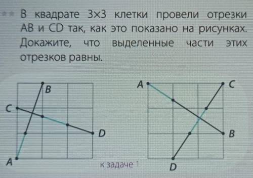 В квадрате 3 на 3 клетки провели отрезки AB и CD так, как это показано на рисунках. Докажите, что вы