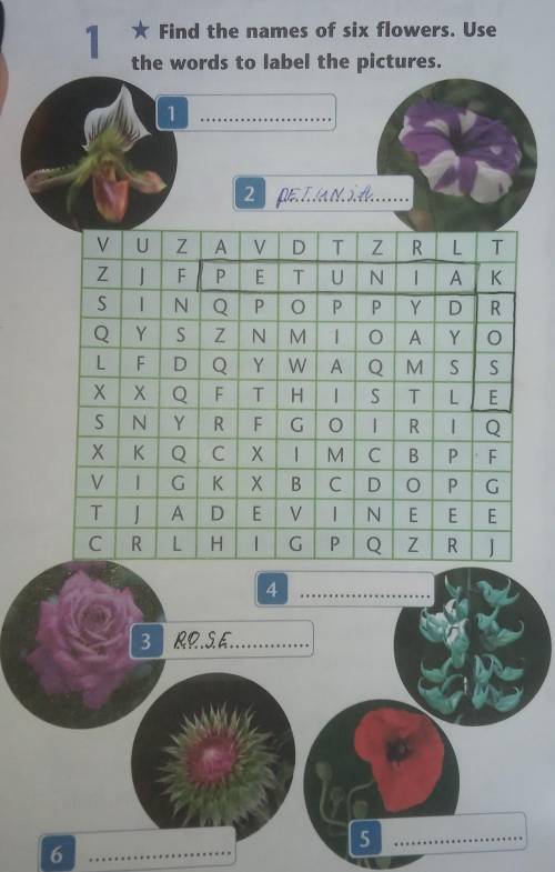 * Find the names of six flowers. Usethe words to label the pictures.​