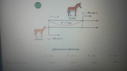 Движение вдогонку и с отставанием Заполни таблицу по схеме задачи. Движение вдогонку t = 1 ч t = 2 ч