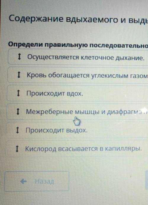 Содержание вдыхаемого и выдыхаемого воздуха Определи правильную последовательность этапов процесса д