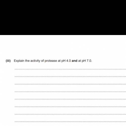 (i) Explain the protease activity at pH 4.0 and pH 7.0.