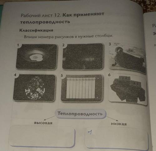 Классификация впиши номера рисунков в нужные Столбцы​