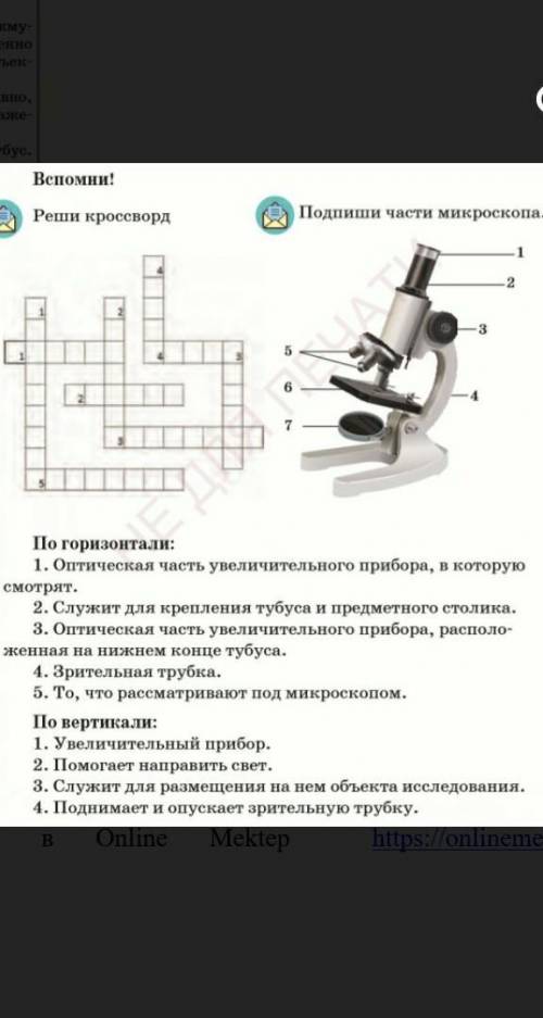 Реши кроссворд По горизонтали: 1. Оптическая часть увеличительного прибора, в которую смотрят. 2. Сл