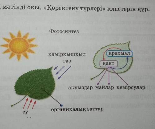 Төмендегі мәтінді оқы. «Қоректену түрлері» кластерін құр. Фотосинтезкөмірқышқылкрахмалгазқантақуызда