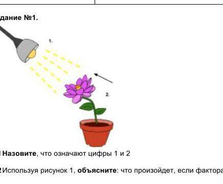 Назови, что означает цифры 1 и 2​