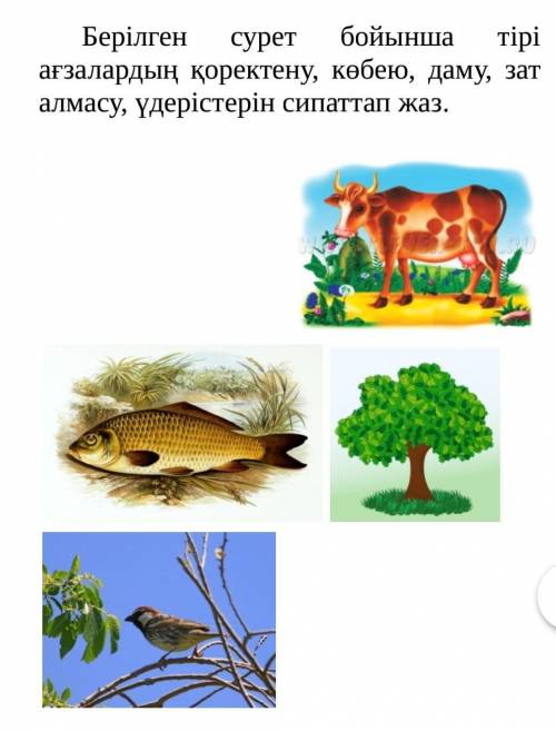 Берілген сурет бойынша тірі ағзалардың қоректену, көбею, даму, зат алмасу, үдерістерін сипаттап жаз.