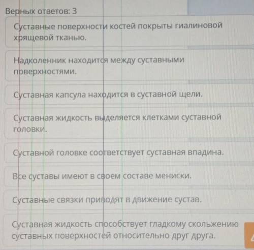 Выбери верные утверждения о строении суставов.​