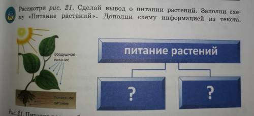 Рассмотри рис. 21. Сделай вывод о питании растений. Заполни схему Питание растений. Дополни схему