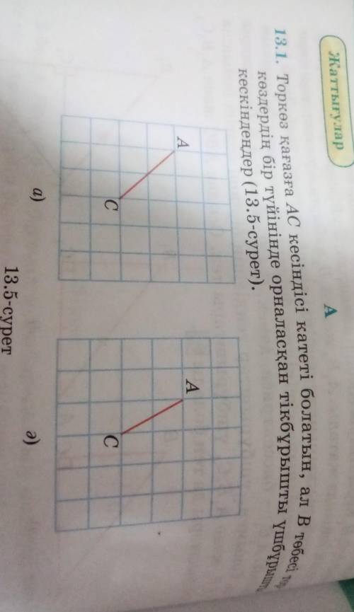 13.1 Торкөз қағазға АС кесіндісі катеті болатын, ал В төбесі торкөздердің бір түйінынде орналасқан т
