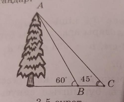 Если ВC=а, то найдите высоту елки на этой картине Думаю вам все ясно​