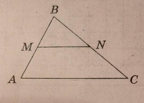 Користуючись рисунком, знайдіть MN, якщо АС=20 см, МN || AC, а точка М ділить сторону АВ трикутника
