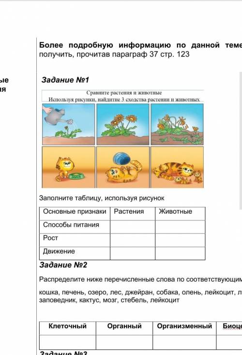 Используя рисунки,найдите 3 сходства растения и животных​