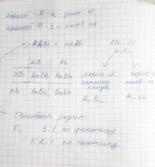 ДАЙ БОГ ЗДОРОВЬЯ И КРАСИВУЮ( -ОГО) ЖЕНУ ИЛИ МУЖА​ ТОМУ КТО РЕШИТ