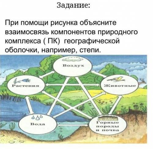 При рисунка объясните взаимосвязь компонентов природного комплекса ( ПК) географической оболочки, на