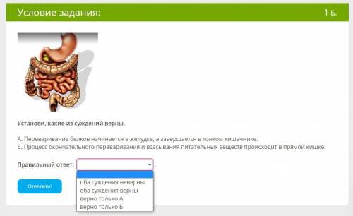 с тестом по биологии, одно задание