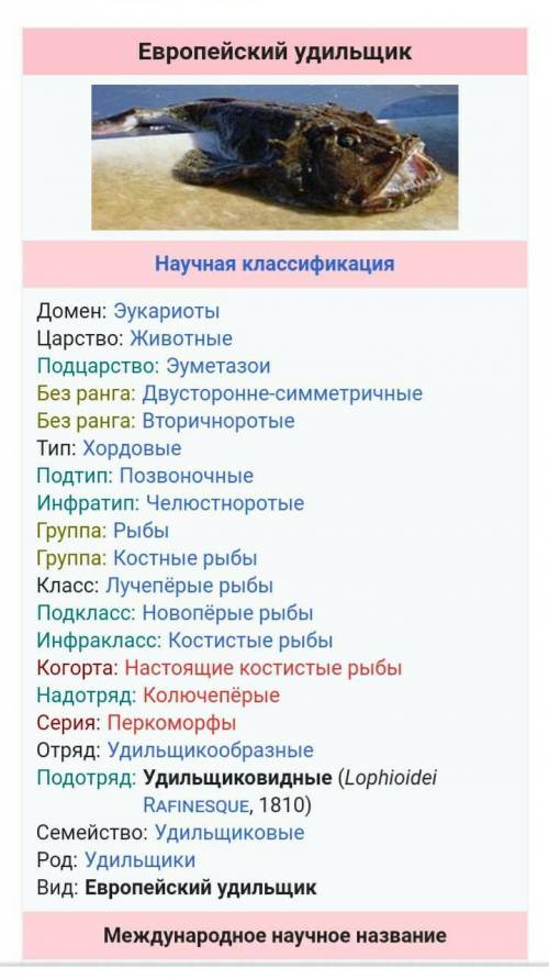 К эврибатным организмам относятся: глубоководные рыбы-удильщики,киты,устрицы,морские звезды.​