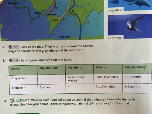 Work in pairs.Find out about an animal that migrates.Complete the table in exercisr 3 for your anima