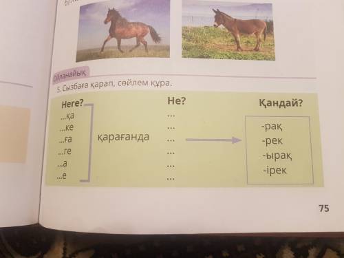 Сызбаға қарап,сөйлем құра