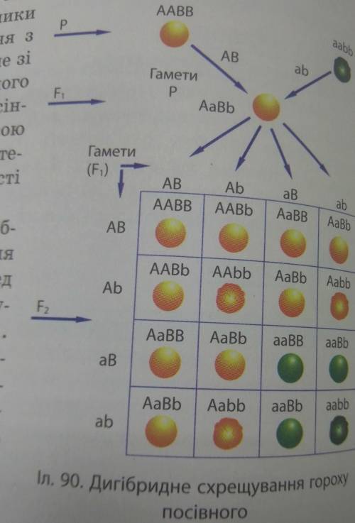 нужно выписать нашадкив​