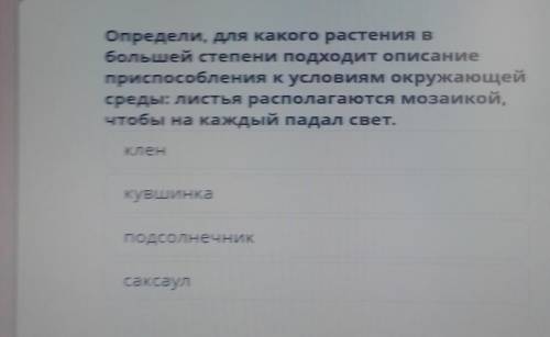 Определи, для какого растения в большей степени подходит описаниепри к условиям окружающейсреды: лис